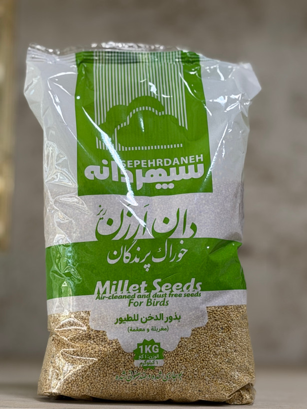 دان ارزن ریز